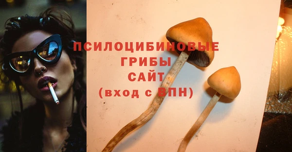 МДПВ Алексеевка
