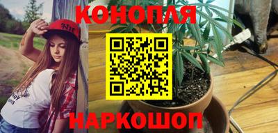 стаф Изобильный