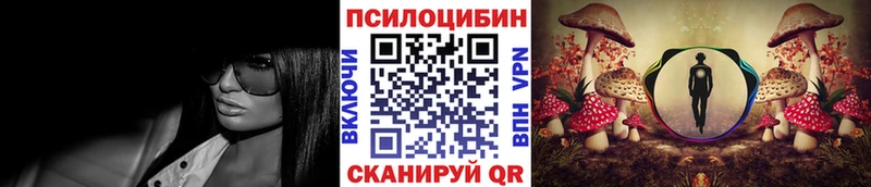 Псилоцибиновые грибы GOLDEN TEACHER  omg зеркало  Мичуринск 