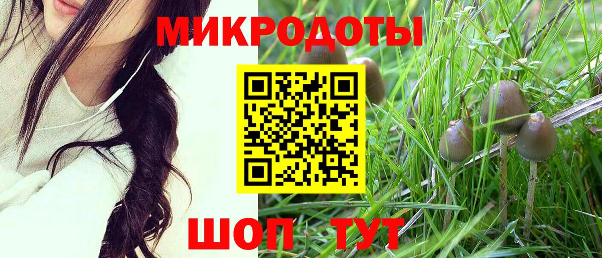 Мичуринск  Галлюциногенные грибы Psilocybe  Галлюциногенные грибы GOLDEN TEACHER  Вход с VPN 