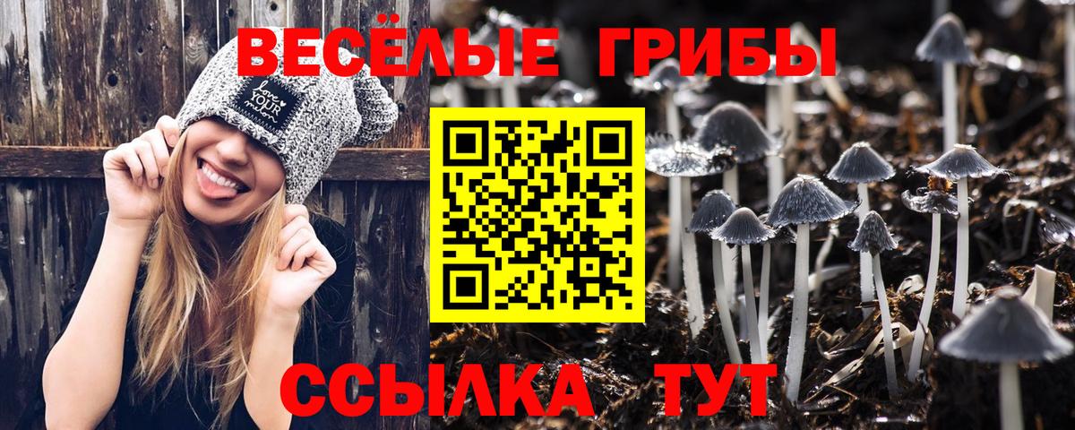 Псилоцибиновые грибы GOLDEN TEACHER Мичуринск